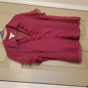 Pink New York label shear blouse with matching camisole